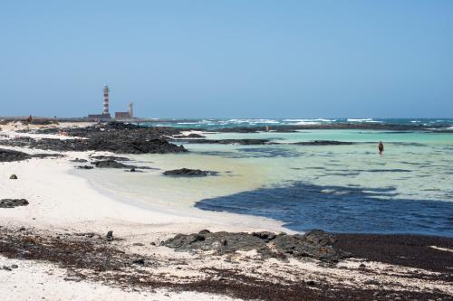 Calypso, Cotillo (fotografie 7)