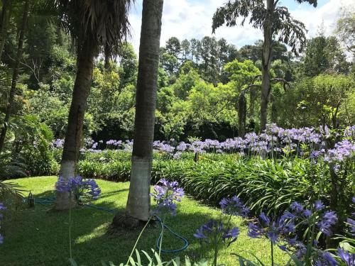 Lindo e aconchegante chalé com piscina, lareira e churrasqueira