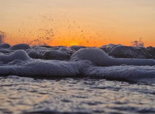 U Adama i Ewy U Adama i Ewy