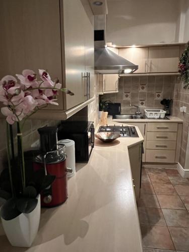 Double bedroom with en-suite bathroom in Chelsea - central London - share apartment, Londra (foto 3)