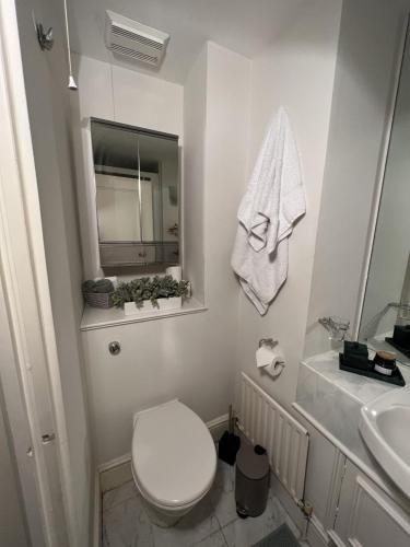 Double bedroom with en-suite bathroom in Chelsea - central London - share apartment, Londra (foto 9)