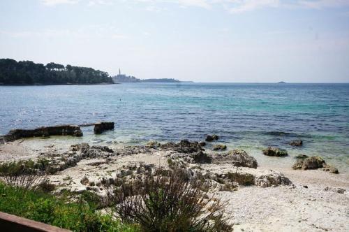 Room in Rovinj with terrace, air conditioning, W-LAN 81-5, Rovigno (Rovinj) (foto 4)