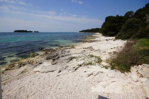 Room in Rovinj with terrace, air conditioning, W-LAN 81-5, Rovigno (Rovinj) (foto 5)