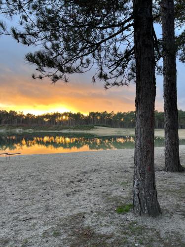 Taiga tiny house Taiga tiny house