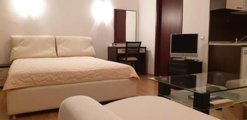 Charming Winter Studio, Borovets (foto 5)