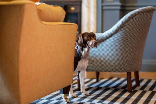Fowey Hall Hotel