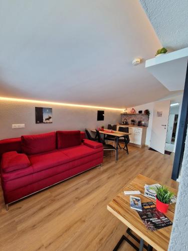  Apartment Kalina & Lian - Zell am See in Zell am See