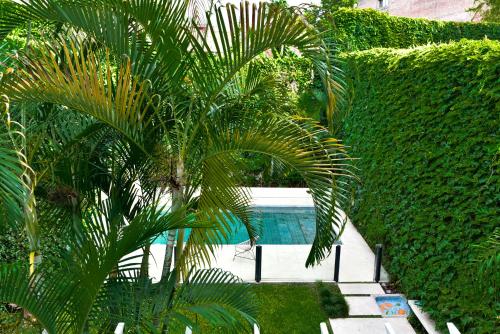 Casa Caravan - Plant Based Concept House, Buenos Aires (fotografie 9)