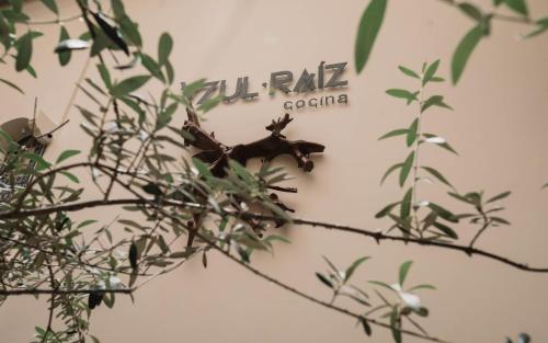 423235909 Casa Azulai Puebla Hotel Boutique