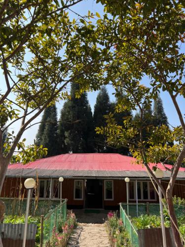 Dilpali Home Cum Farm stay