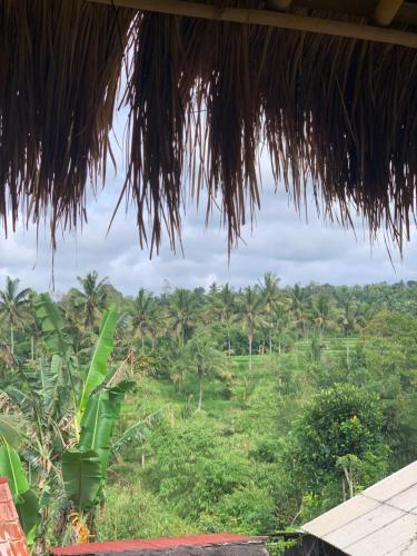 Tetebatu Sama Sama Bungalows Room Type - Double Room with Balcony