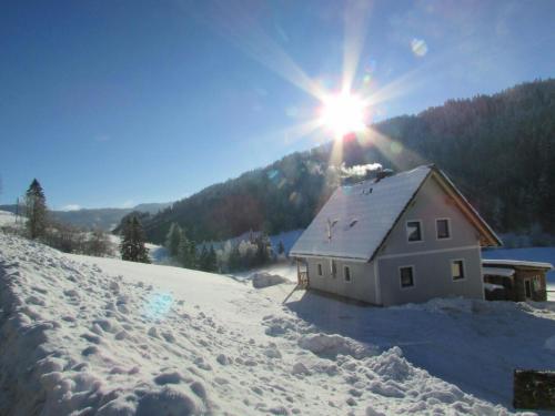 Ferienhaus Priller in Lachtal