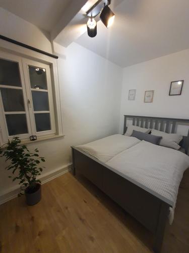 Modernes Apartment zentral, Waldeck-Frankenberg