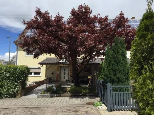 Apartmentvermietung Ingrid Bolkart - Vöhlino 2 in Illertissen, Deutschland