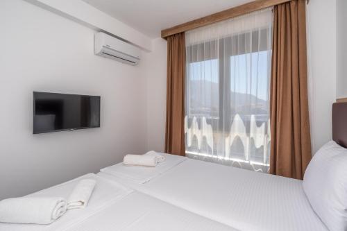 Hotel Pharos - image 7