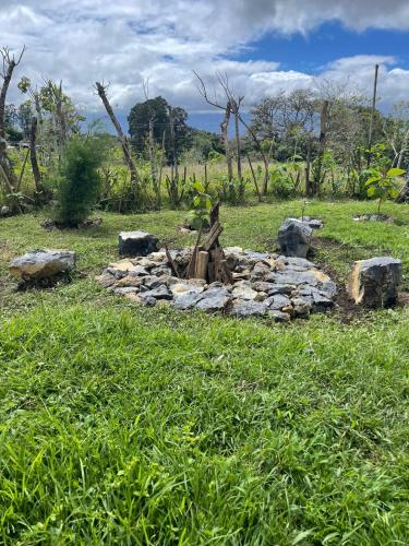 花園, Glamping Campo Alegre in 卡塔戈