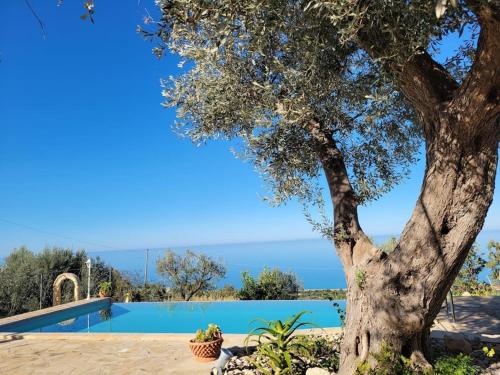  Appartamento Origano, Ferienwohnung in Acquedolci