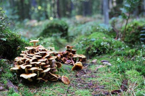 Newly built accommodation in Skrea - Falkenberg Newly built accommodation in Skrea - Falkenberg