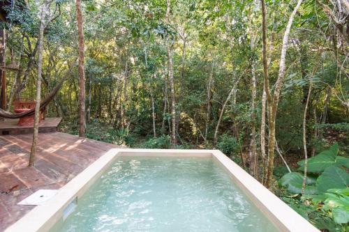 OJO DE AGUA. Design+pool. Vive la auténtica selva! in Tulum, Mexico