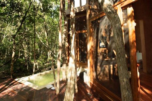 OJO DE AGUA. Design+pool. Vive la auténtica selva! (OJO DE AGUA. Design+pool. Vive la autentica selva!) in มาการิโอโกเมซ