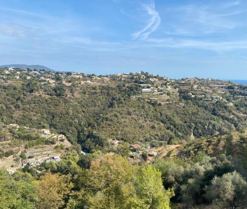 Spacieuse Villa Niçoise au calme avec piscine, Nice (fotografie 7)
