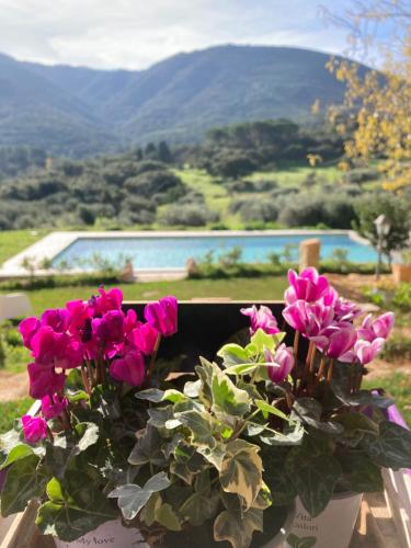 Agriturismo Is Conchisceddas