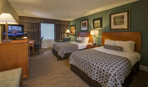 Standard Room - Two double beds