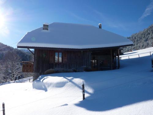 Chalet Savoyard en Bordure des Pistes avec Liaison Facile vers le Centre de Morzine - FR-1-524-11 in Les Fys