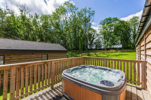 Squirrel Lodge 41 with Hot Tub, Newton Stewart (fotografie 2)