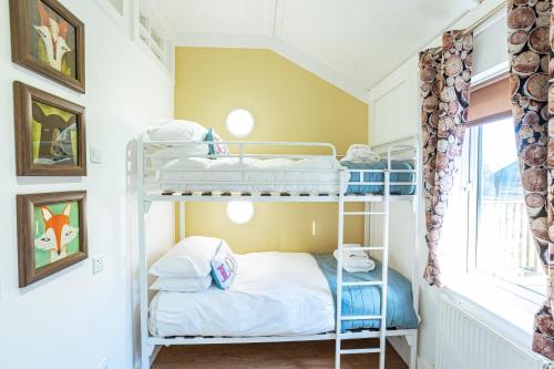 Squirrel Lodge 41 with Hot Tub, Newton Stewart (fotografie 7)