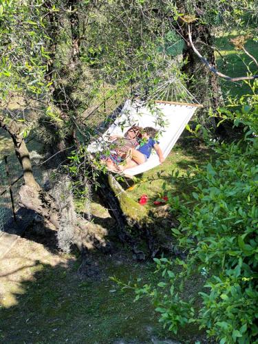 Seaside villa between Portofino and Cinque Terre