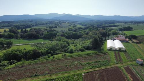 La Ripa Del Drago