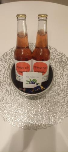 Villa Pikkumustikka in 托伊薩