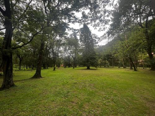 Cabaña tierra verde (Cabana tierra verde) in 얄라