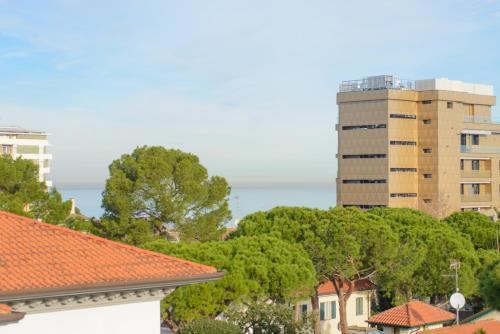 Palace Hotel Domus Mea Riccione - 주변 환경