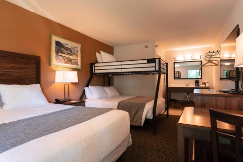 Riviera Motor Lodge - image 13
