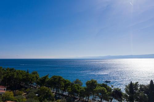 Deluxe Two-Bedroom Apartment with Sea View