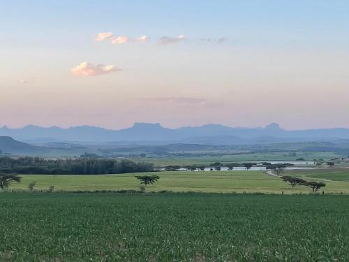 Bellevue Berg Cottage
