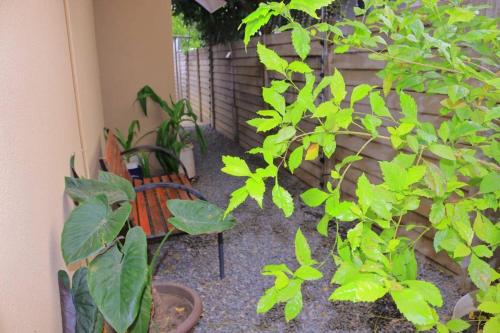 Exterior view, Crown Bed & Breakfast in Francistown