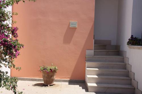  Kalos Irtate in Casamassella