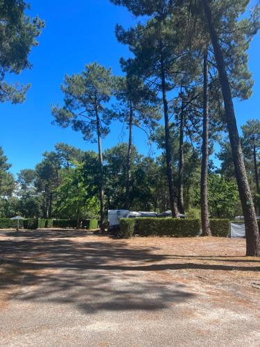 CAMPING Bassin Arcachon - LES GOELANDS