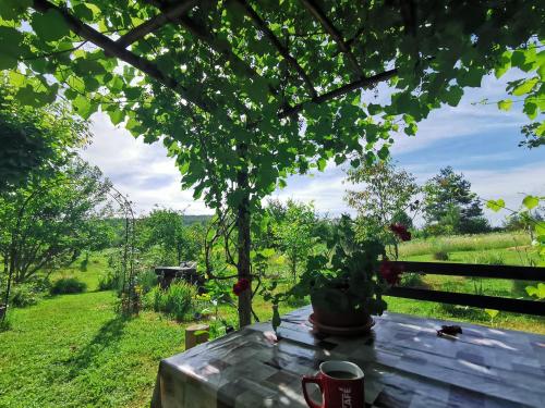  Apartment Manda in Rakovica