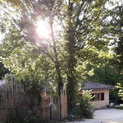 Cocon dans les bois - Accommodation - Blésignac