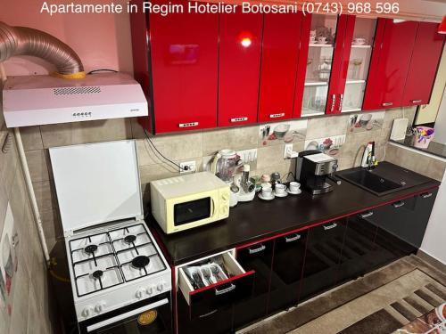 Apartament cu 2 camere/Curte privata/La parter/Lux oferim factura in 博托沙尼