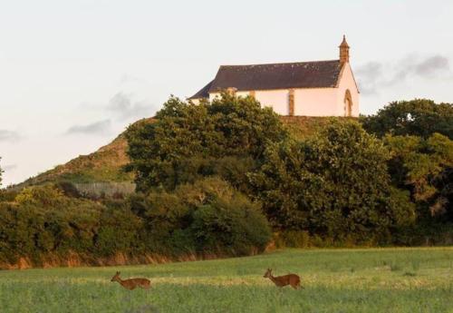 Appartement au bord de mer