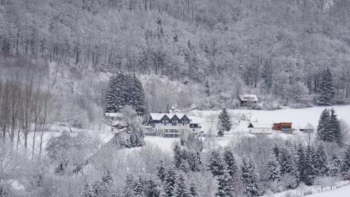 Waldhotel Schinkenwirt - image 7