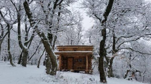 Chez Buddy - cabane de trappeur