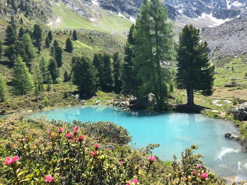 กีฬาและกิจกรรมสันทนาการ, Apart Andrea in อิสเกล