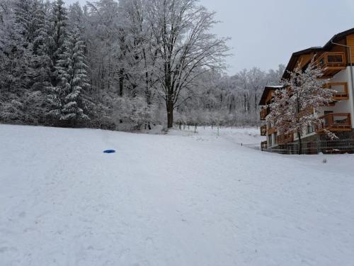 Apartament Zaciszny, Szklarska Poręba (zdjęcie 3)