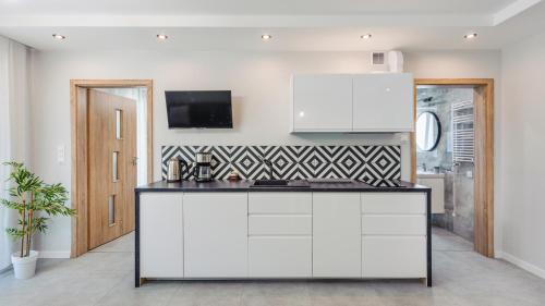 One-Bedroom Apartment image 6